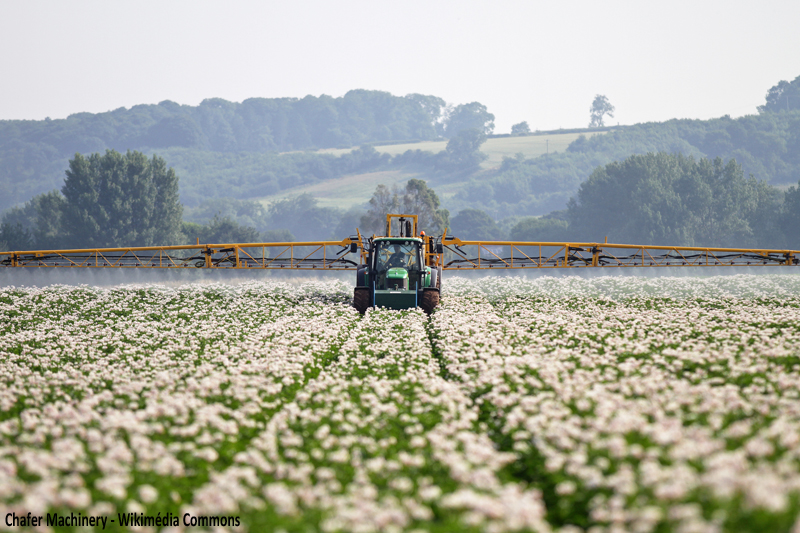Pesticides : objectif – 50 %, résultat + 12,4 %