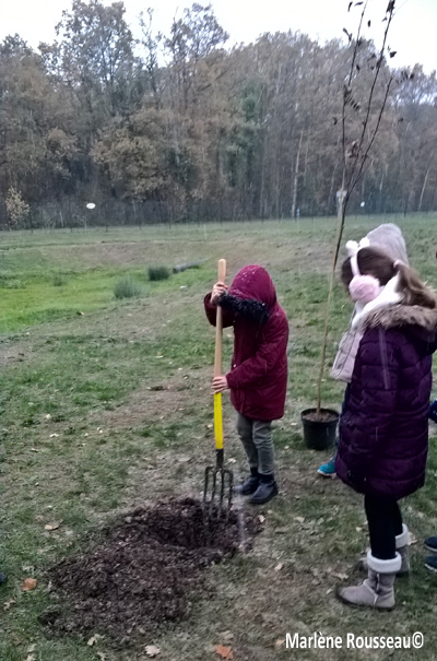 Semaine de l’Arbre