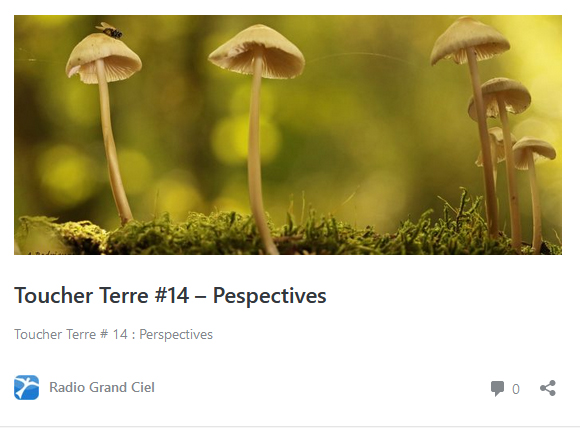Toucher Terre #14 – Perspectives