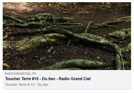 Toucher Terre #15 – Du lien