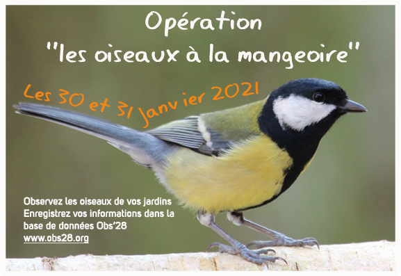 Les 30 et 31 Janvier, WE d’observation et de comptage des oiseaux à la mangeoire