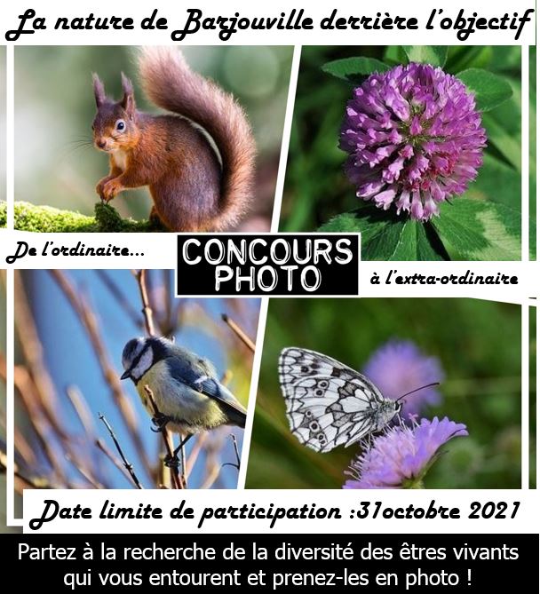 Concours photo: la nature de Barjouville derrière l’objectif