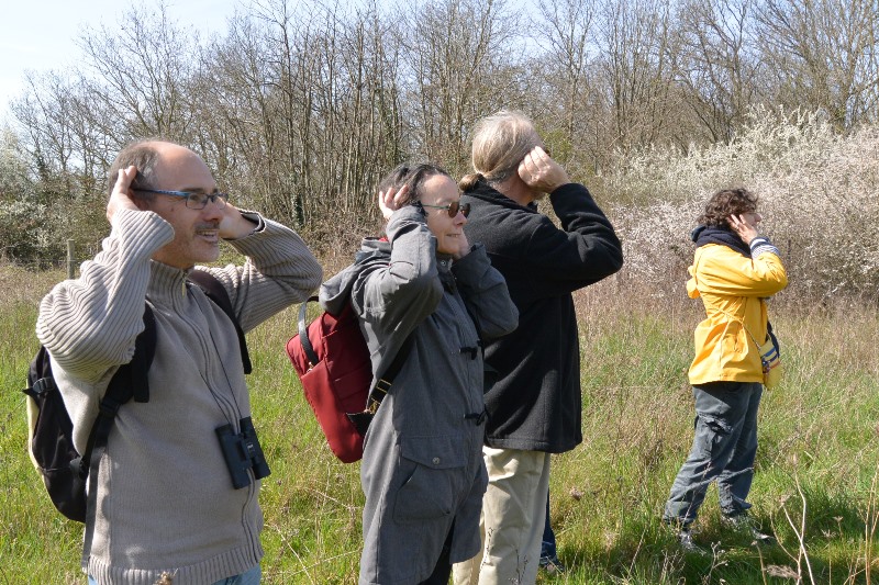 Eure-et-Loir Nature et Radio Grand Ciel à l’écoute des oiseaux et sur la trace des animaux.